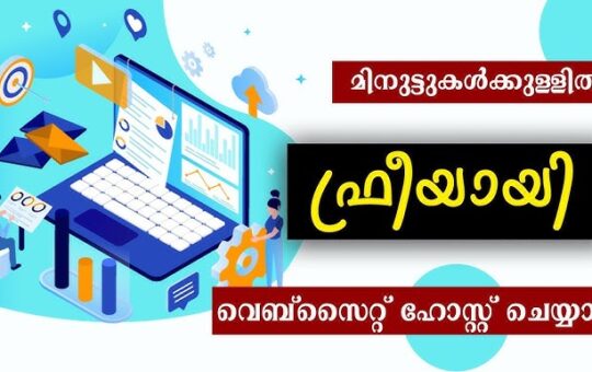 luehost Hosting for Beginners